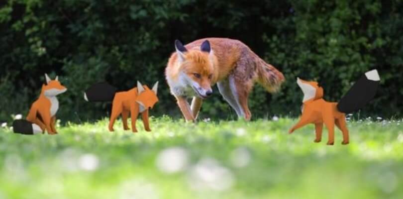 Pokémon GO ispira PocketPals, una nuova applicazione per riscoprire la fauna selvatica