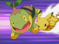 [PokeCommunity.com] The Pokemon starters Fan Club!