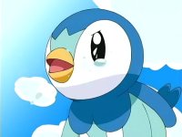 [PokeCommunity.com] The Combee x Piplup Club! <3333