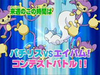 [PokeCommunity.com] [*~ The Pikachu and Pachirisu FanClub! ~*]
