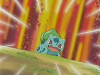 [PokeCommunity.com] The Pokemon starters Fan Club!
