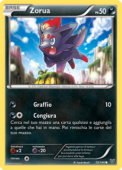 XY