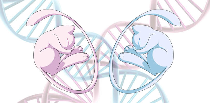 Ecco i 10 Pokémon cromatici più difficili da ottenere