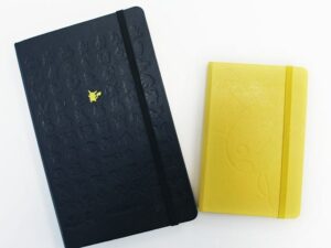 taccuini moleskine pikachu