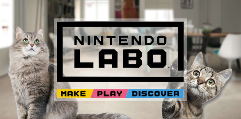Gatti vs Nintendo Labo: chi vincerà la guerra?