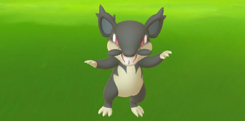 Appare Rattata Forma Alola selvatico in Pokémon GO