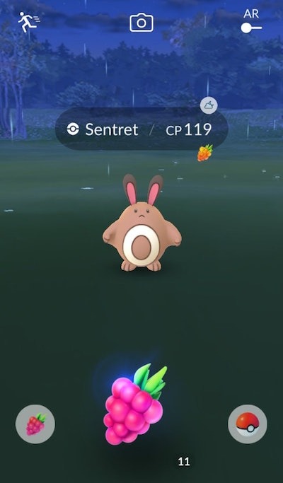 bacche incontro Pokémon GO