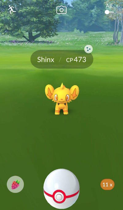 Shinx cromatico