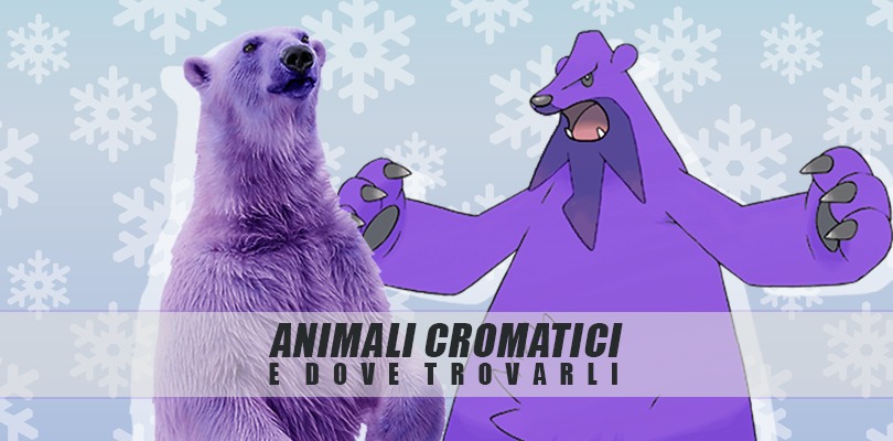 Animali cromatici e dove trovarli