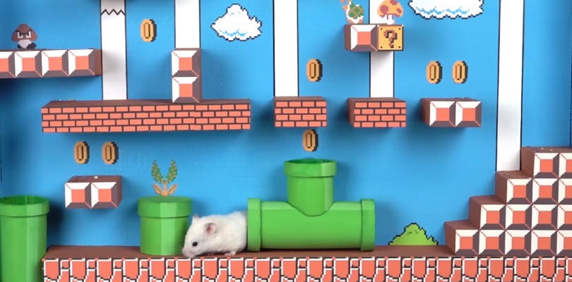 Un vero criceto è entrato nel mondo di Super Mario!