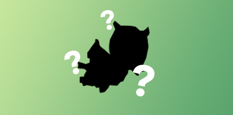 Un nuovo Pokémon è presente su un maglione nel trailer di Pokémon Spada e Scudo?