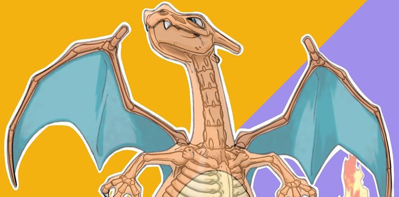 Anatomia Pokémon: un artista immagina la struttura scheletrica dei primi 151 mostriciattoli tascabili