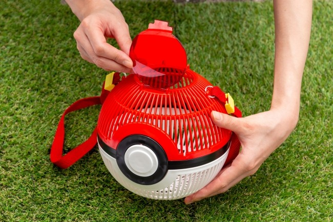 poké ball