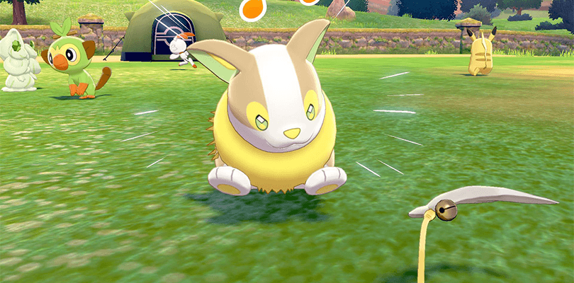 Il Pokécampeggio incrementerà le ore di gioco