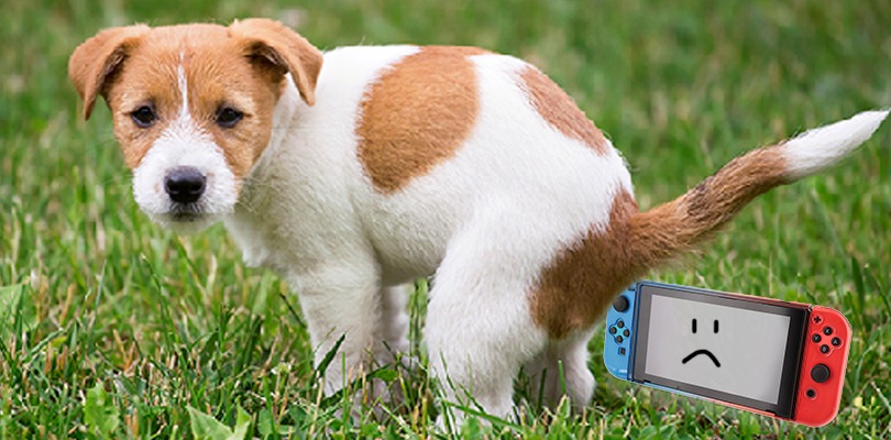 Non fate pipì sulla Nintendo Switch