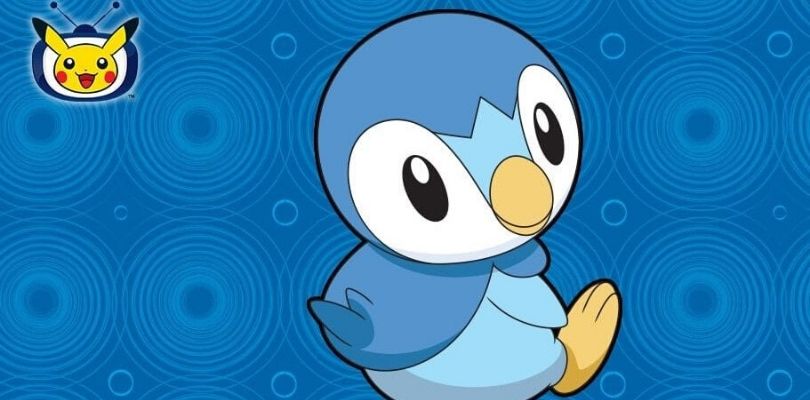 Piplup diventa il protagonista assoluto di TV Pokémon
