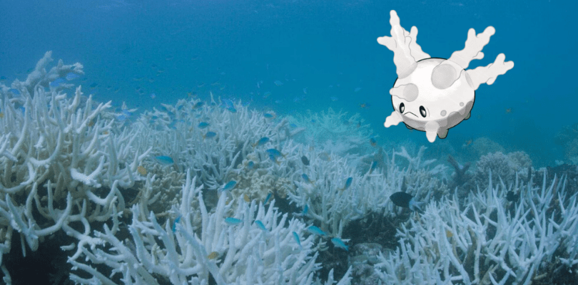 Corsola osserva la Barriera corallina morente a causa dell'inquinamento dell'ambiente