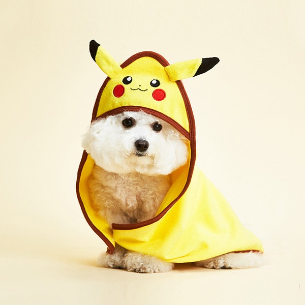 Pokémon cani