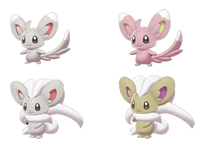 Minccino e Cinccino cromatici