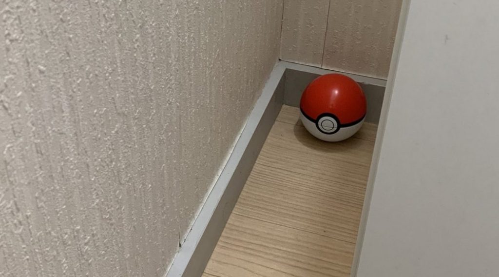 Poké Ball foto Pokémon