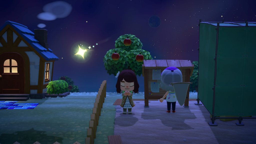 Animal Crossing New Horizons