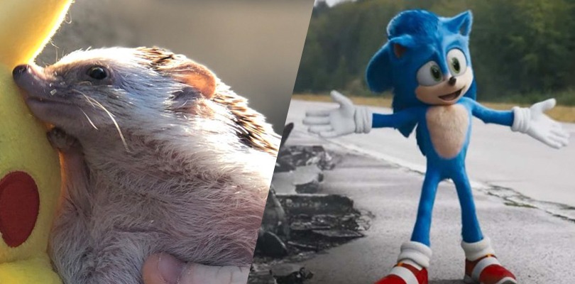 Un fan va al cinema col suo riccio per vedere il film di Sonic