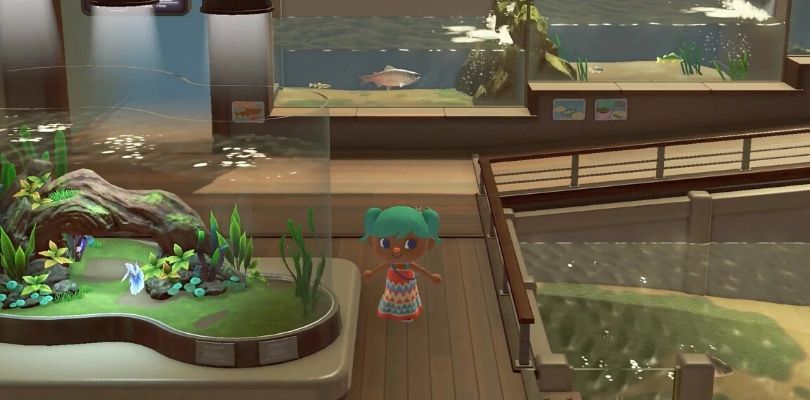 Un Acquario in California fa il tour in streaming del suo museo di Animal Crossing: New Horizons