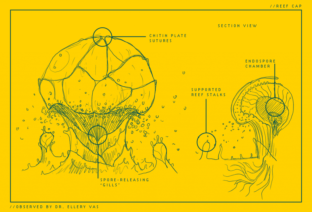 Sketche creatura