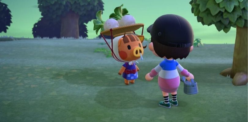 rape su Animal Crossing