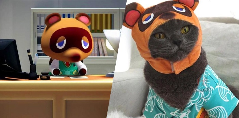 Trasforma il tuo tenero gatto in Tom Nook!