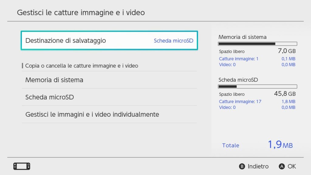 Gestione immagini video Nintendo Switch