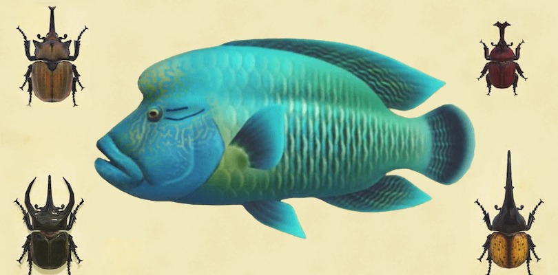 Tutti i pesci e gli insetti di luglio in Animal Crossing: New Horizons