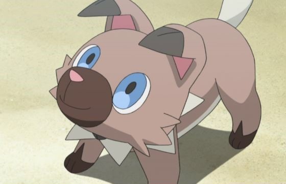 rockruff