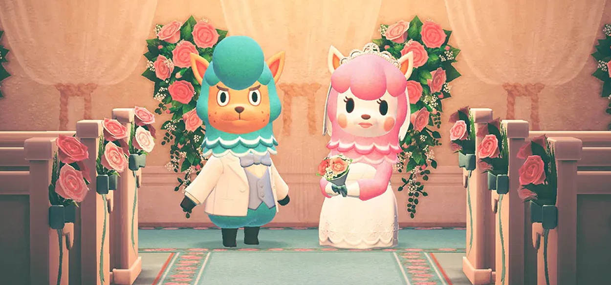 Zoom Torino chiama i suoi due alpaca come i personaggi di Animal Crossing: New Horizons