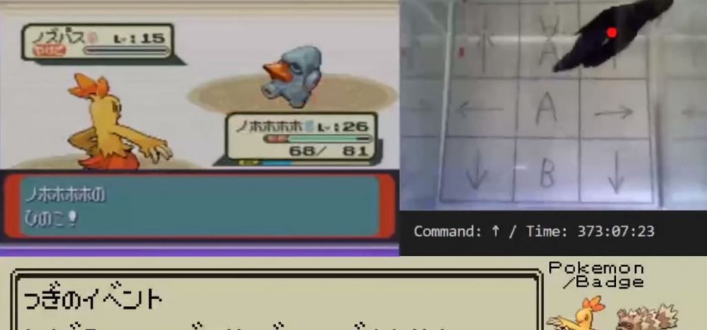 pesce gioca a pokemon rubino