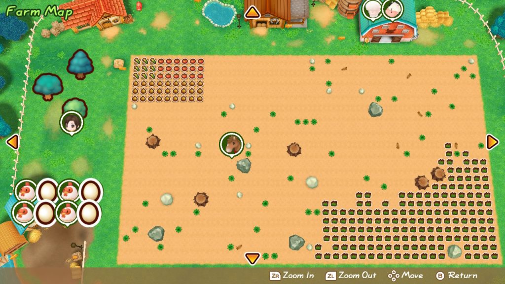 Story of Seasons: Friends of Mineral Town