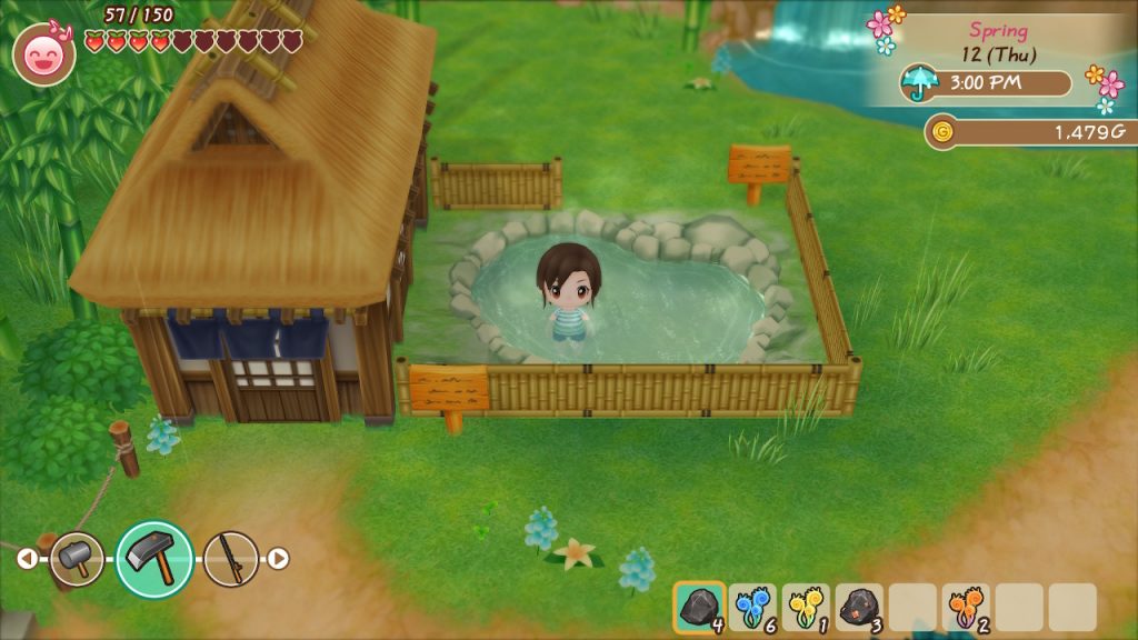 Story of Seasons: Friends of Mineral Town