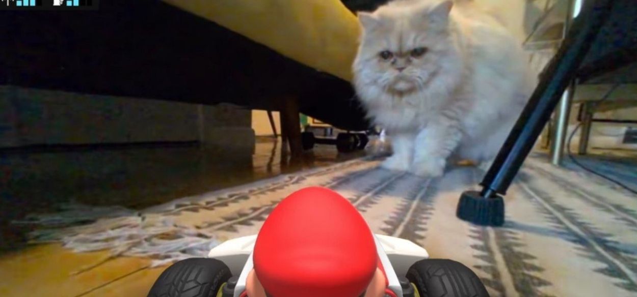 Ai gatti non piace Mario Kart Live: Home Circuit