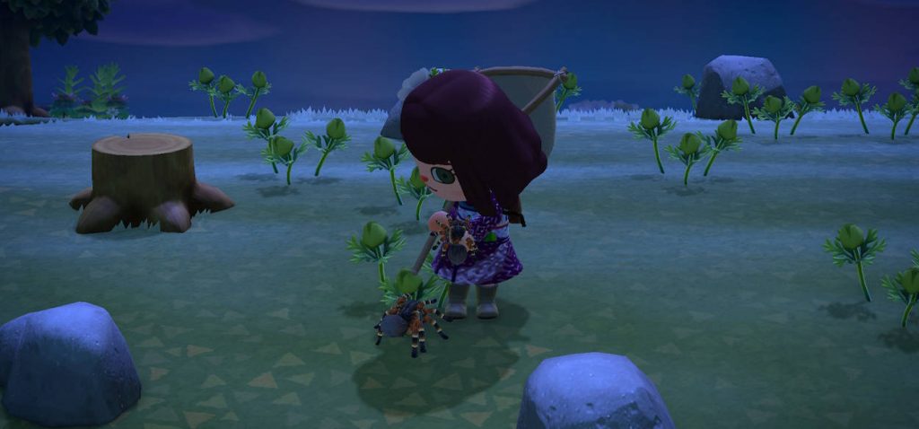 novembre Animal Crossing: New Horizons