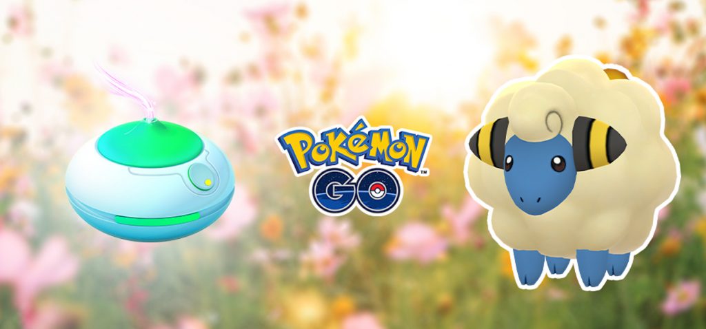 Giornata aroma Mareep