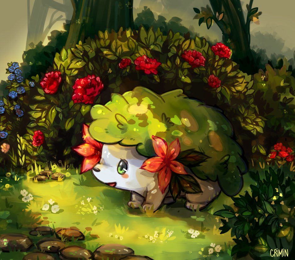 shaymin italia leggendari