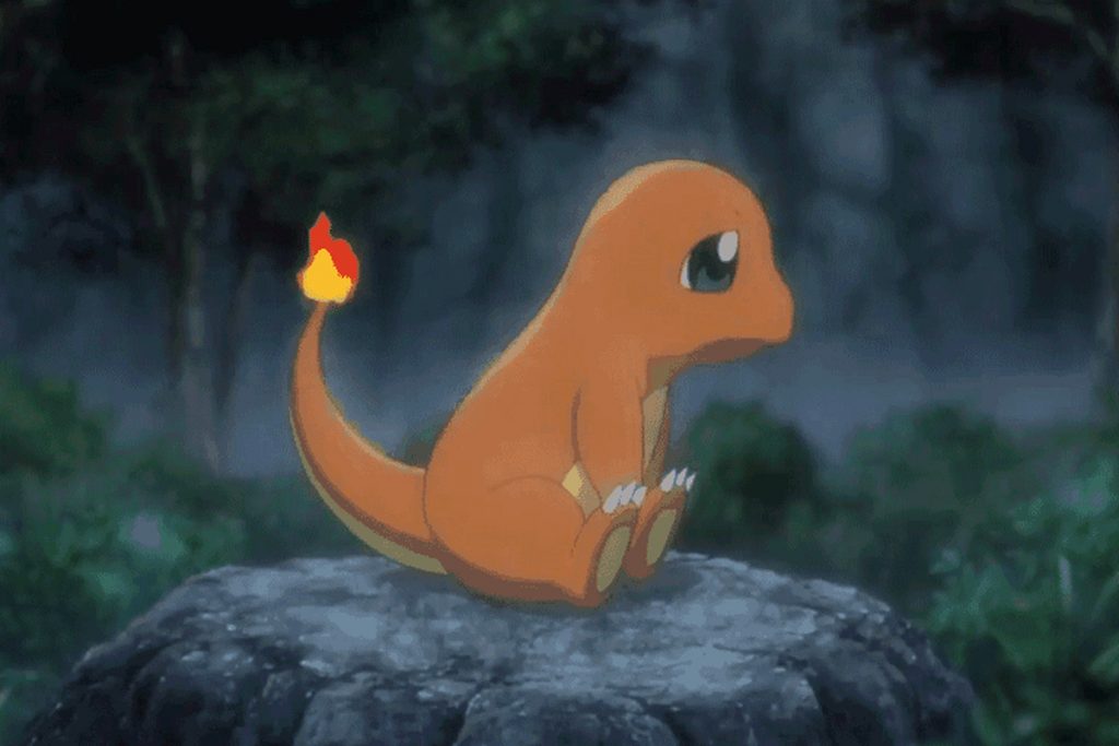 starter kanto 