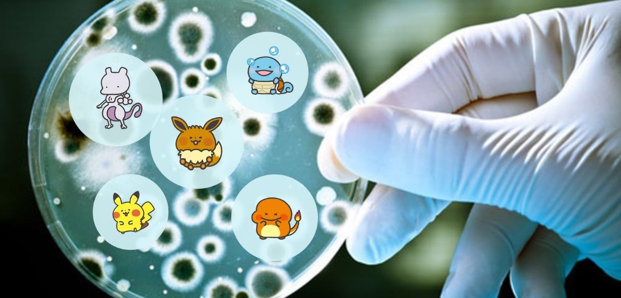 Scoperta una nuova specie di batteri chiamata 