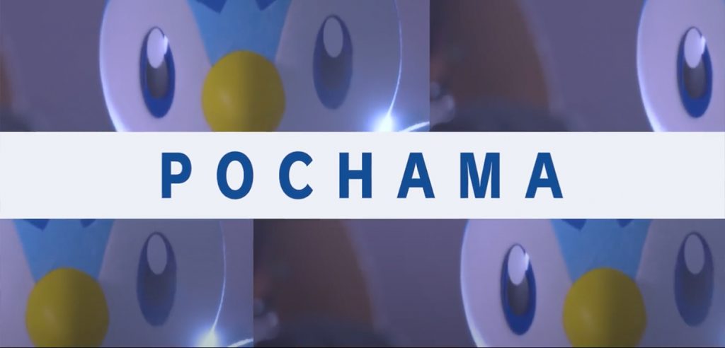 project pochama