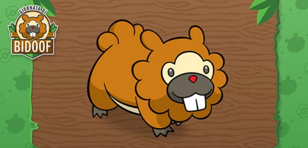 Bidoof quiz