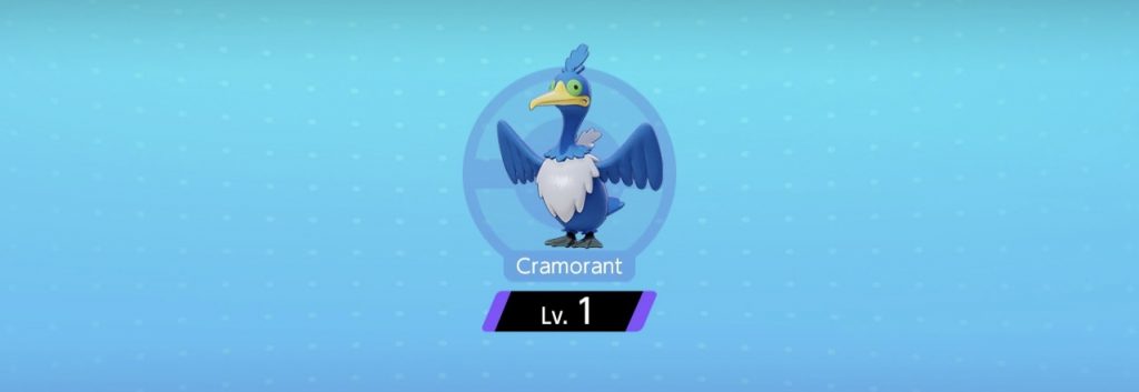 Cramorant
