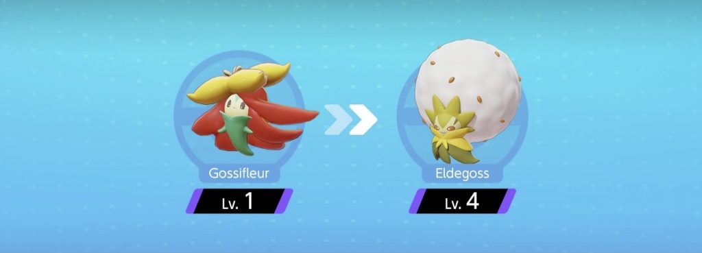 Eldegoss evoluzioni