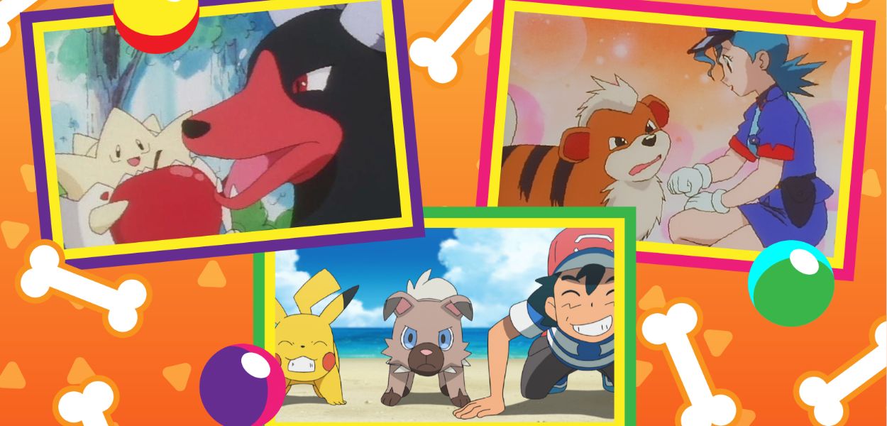 Disponibile una raccolta di episodi dedicata ai cani su TV Pokémon
