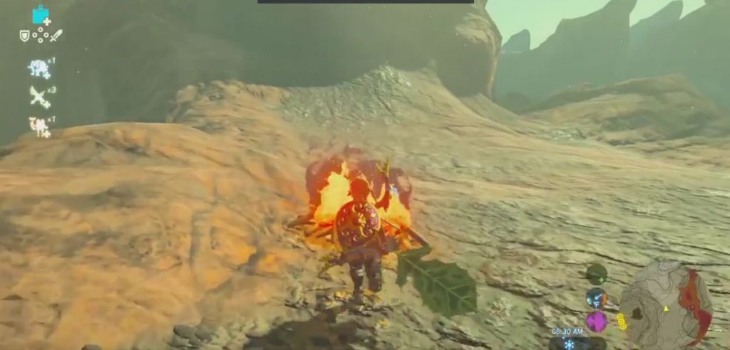 Breath of the Wild