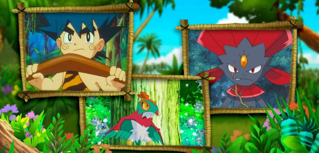 Raccolta Pokémon